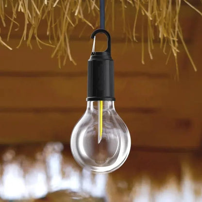 Decorative Hanging Bulb with 3 Modes Tent Lamp for Camping Pac of 2